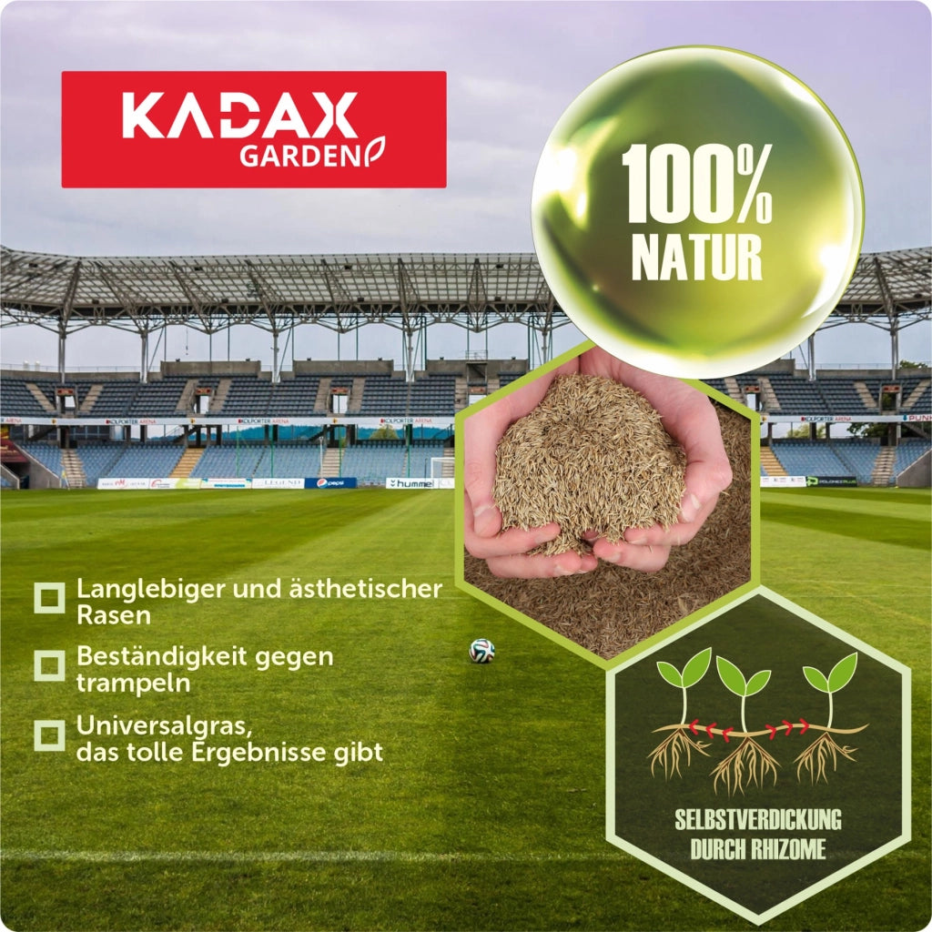 Semi per prato KADAX 15 kg, resistenti al calpestio, autocompattanti, per sport, 600 m²