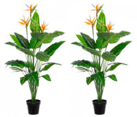 Set 2 Piante Artificiali Strelitzia 70x70x150 cm in Plastica con Vasi Verde