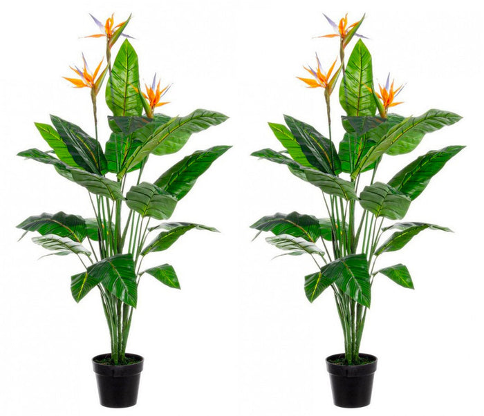 Set 2 Piante Artificiali Strelitzia 70x70x150 cm in Plastica con Vasi Verde