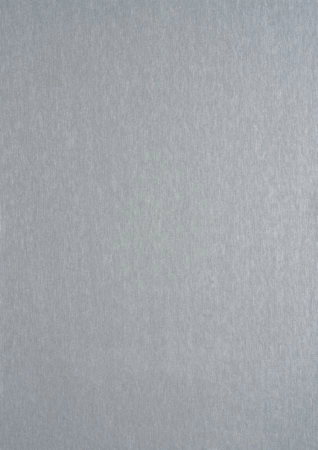 PLASTICA ADESIVA D-C-FIX 45X150 METALLO ARGENTO SATINATO