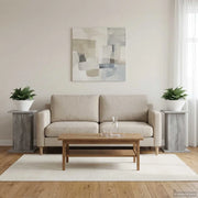 Supporto per piante 2 pcs Grigio Sonoma 30,5 x 30 x 43 cm 899811