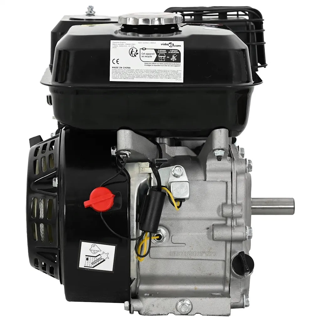 Motore a Benzina Nero 6,5 HP 4,8 kW CFW6905242