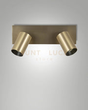 FLORES SPOT 2 LUCI OTTONE SATINATO ORIENTABILE ATTACCO GU10