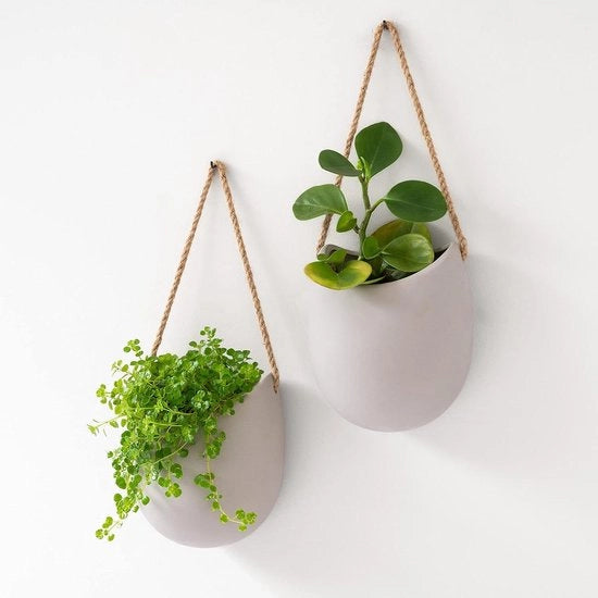 Sistema di vasi per piante da parete -Ellie- | Vasi per piante in ceramica appesi 2 pezzi | Decorazione per parete per interni, balconi e giardini | Grigio chiaro (opaco)