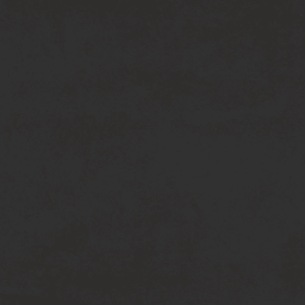 Divano Letto a 2 Posti con 2 Cuscini Nero in Velluto 375923