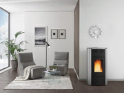 1pz extraflame termostufa a pellet raffaella idro h18 col. grigio luce cod:ferx.vit53910