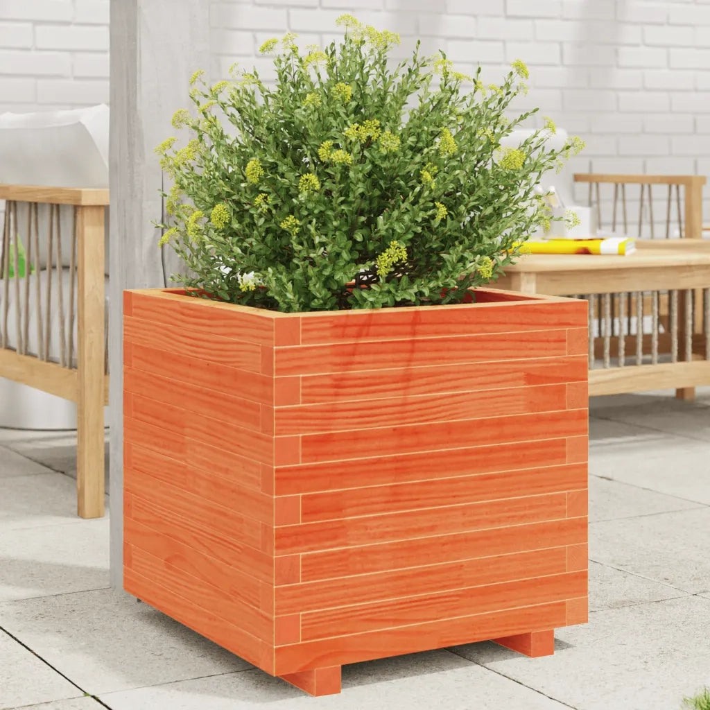 Fioriera Giardino-Vaso da Esterno-Contenitore per Piante Marrone Cera 50x50x49,5cm Legno Massello Pino 154358