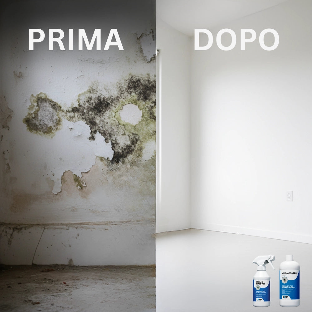 Trattamento completo rimuovi muffa 300 ml + muffa control risanante 1 lt