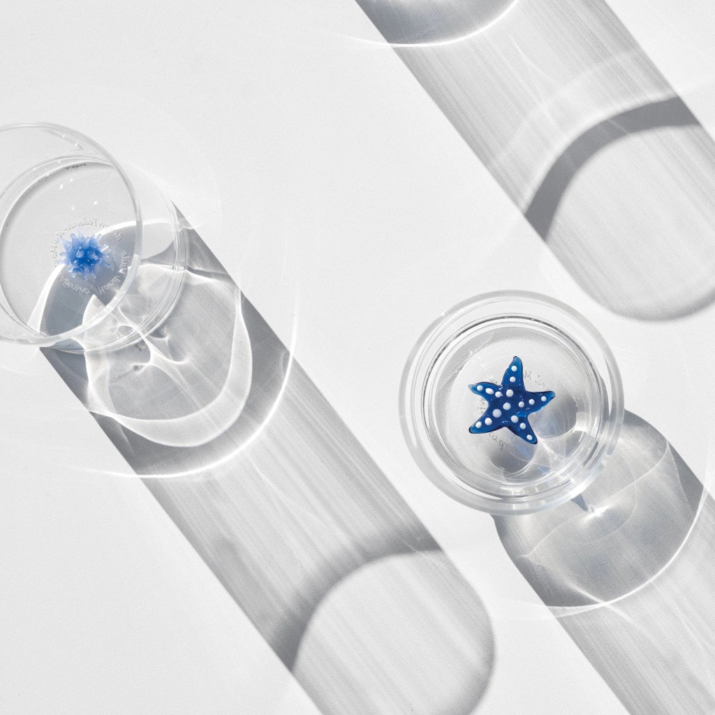 Zafferano Set 6 Bicchieri Tumbler Teca Mare Decorazione Stella Marina in Vetro Borosilicato Lavorato a Mano Design Innovativo Impilabile Trasparente