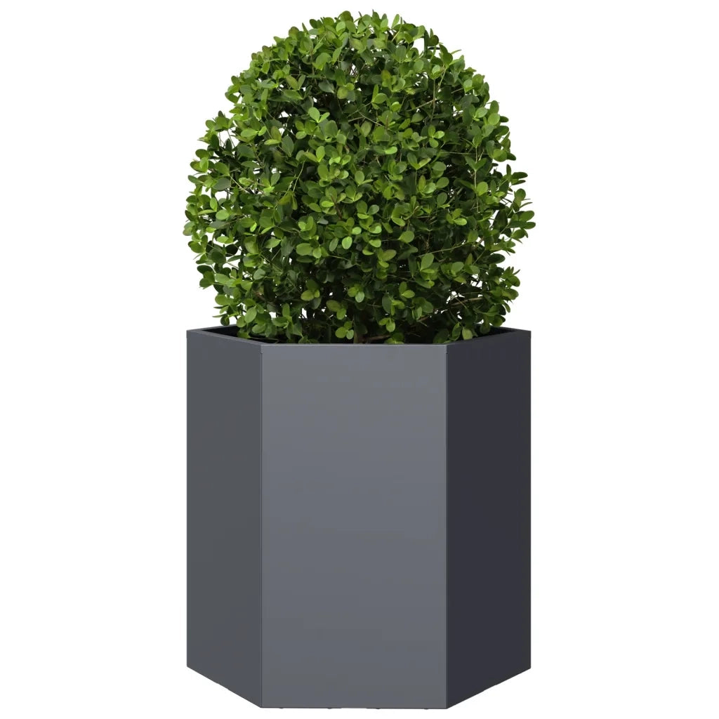 Fioriere da Giardino 2 pz Antracite Esagono 46x40x45 cm Acciaio