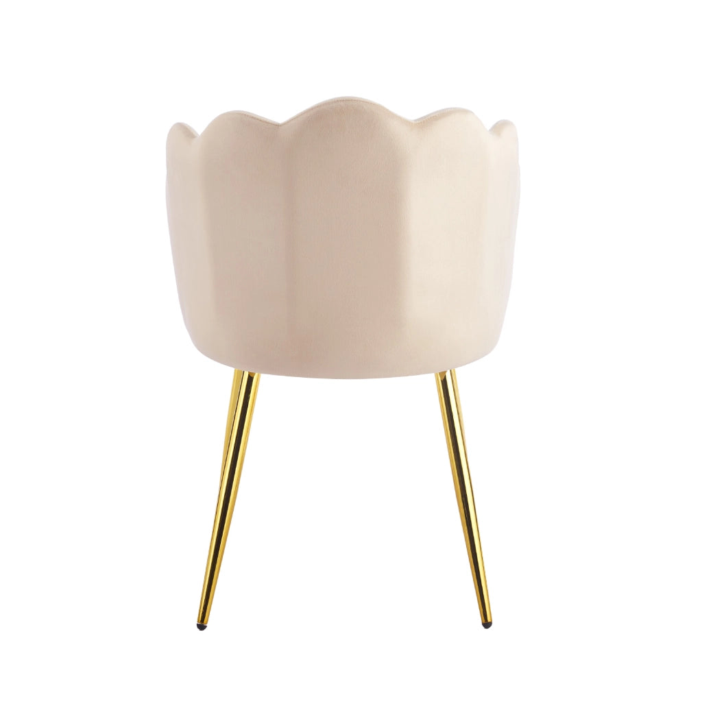 Poltroncina Elegante in Velluto con Schienale a Conchiglia, Cuscino e Gambe in Acciaio, Sedia Imbottita elegante Crema