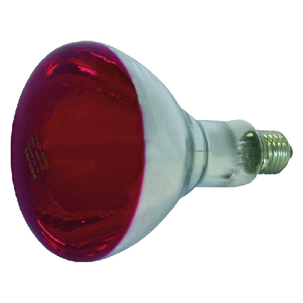 1pz lampada infrarossi per riflettore 150 w - e27 philips cod:ferx.605048nlm