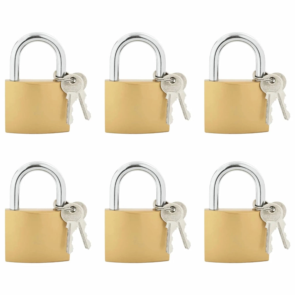 U Lock con Chiavi 6 pz Ottone Ferro CFW9421022
