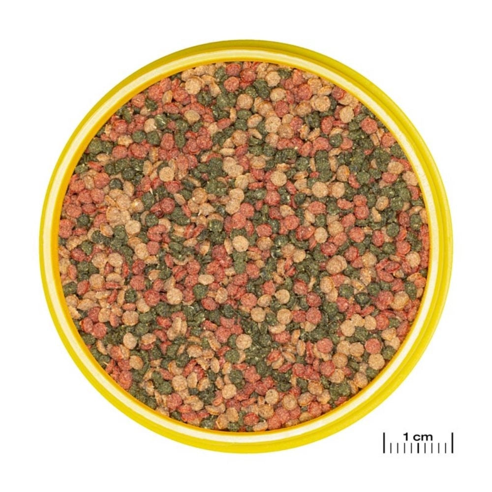 JBL ProNovo Bel Grano M 250ml - Mangime base in granuli per tutti i pesci ornamentali da 8 a 20cm