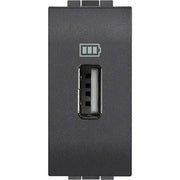 Living Light - Caricatore USB 2 prese antracite - L4285C2