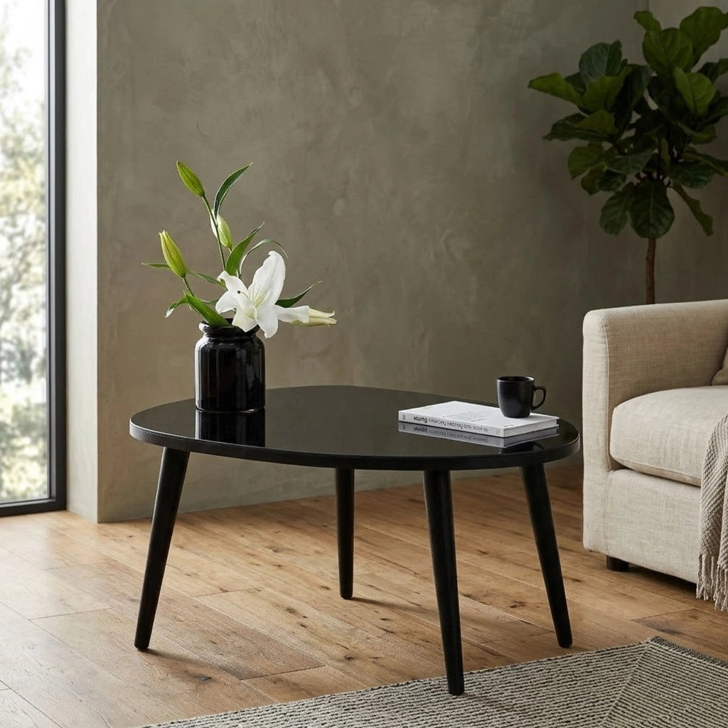 Frontone, Tavolino da Salotto Piano in Vetro Temperato, 75x55x38h cm Nero