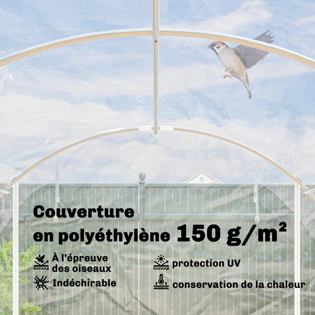 Serra Tunnel da Giardino ¨C Xylo ¨C 18m2 296x597x199cm Acciaio Galvanizzato Telo PE Trasparente