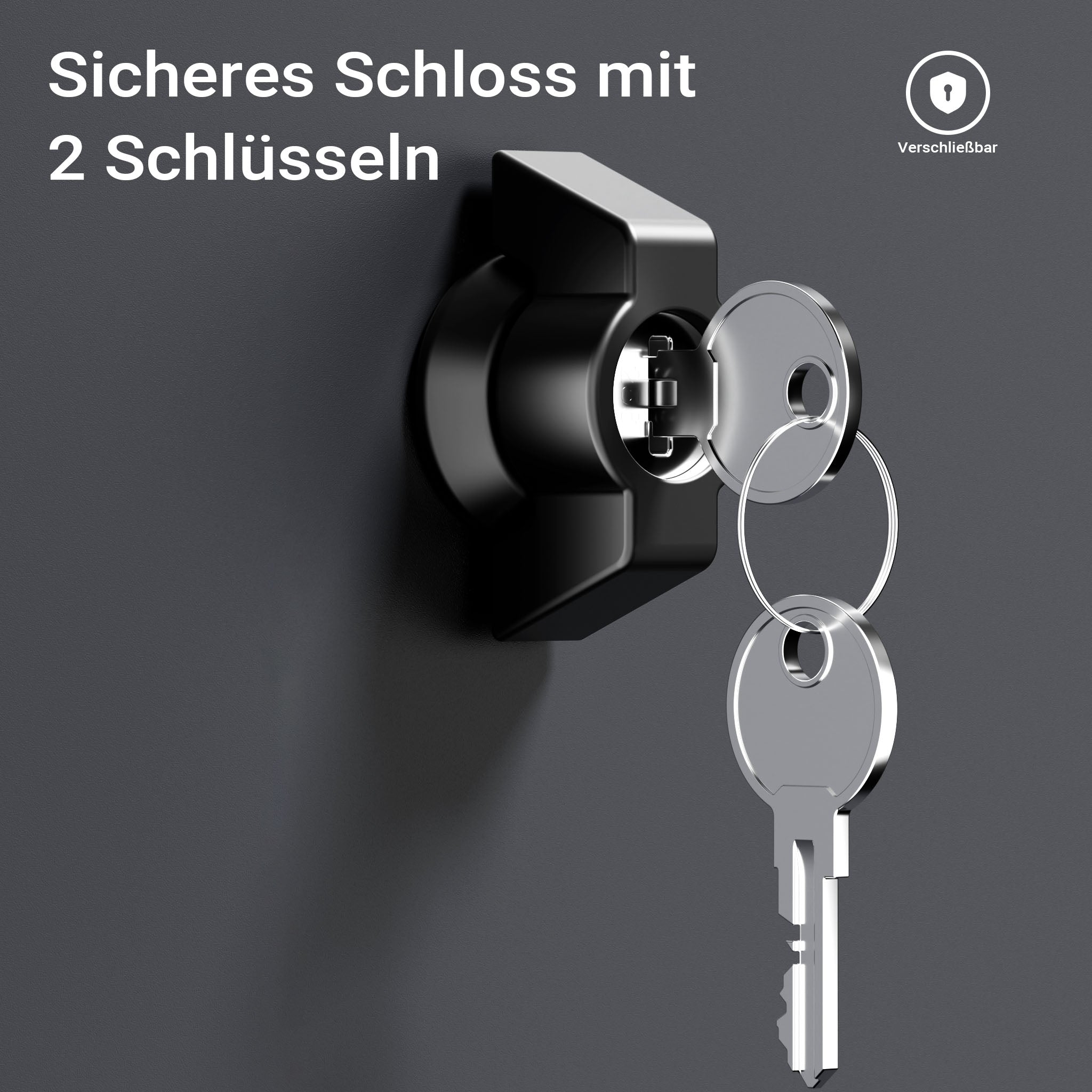 Cassetta postale portapacchi antracite per pacchi medi e piccoli Parcel box