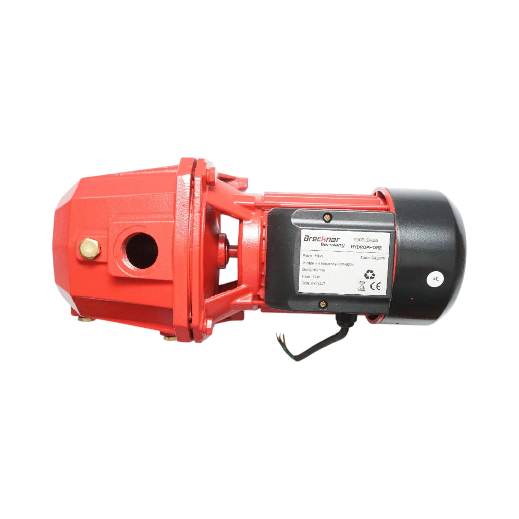 ELETTROPOMPA AUTOADESCANTE POMPA DI SUPERFICIE 750W, 220V, H42m, 80 L/min DP255 Breckner Germany