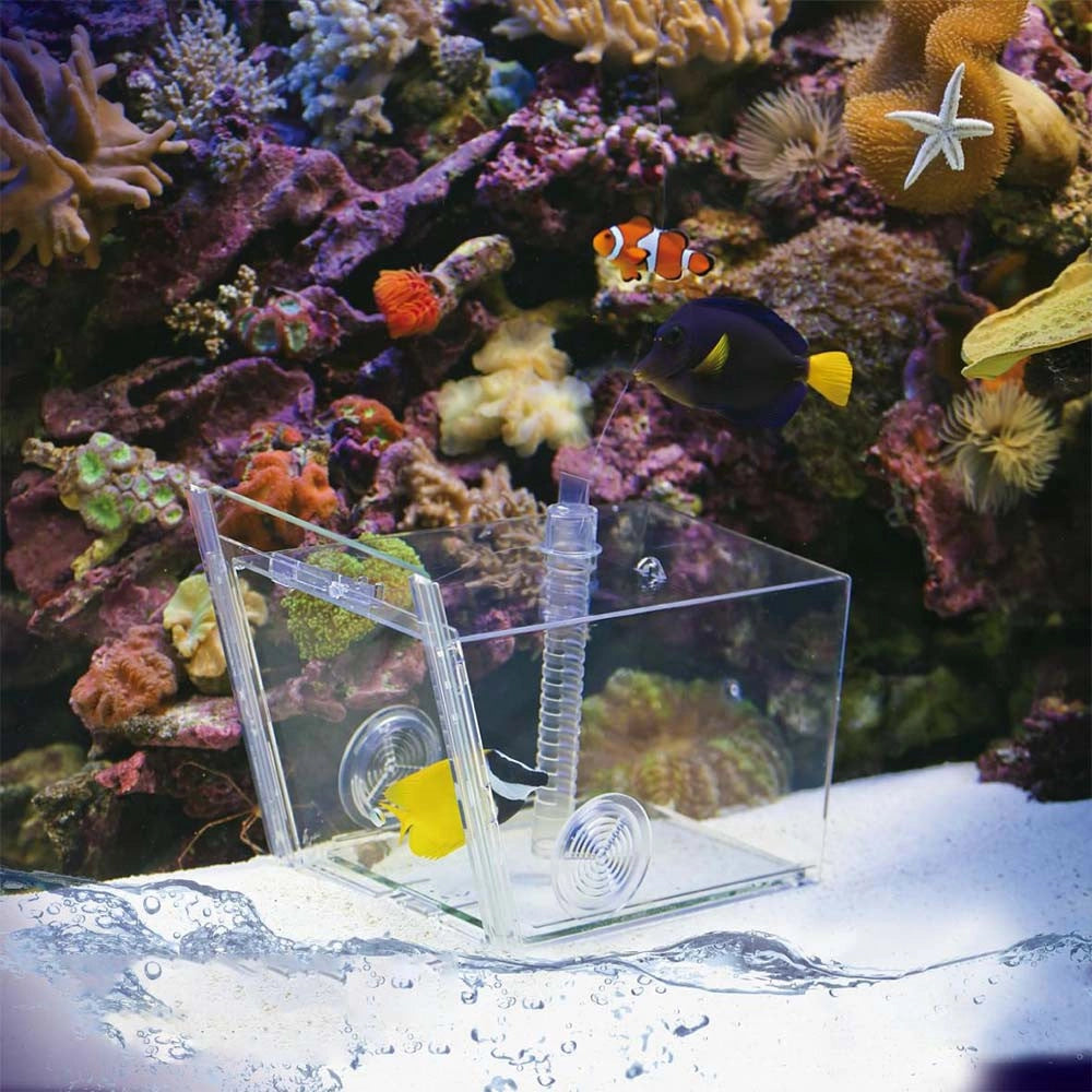 AquaMedic 501.80 Fish-Trap - Trappola per Pesci - cm 21x17x17h