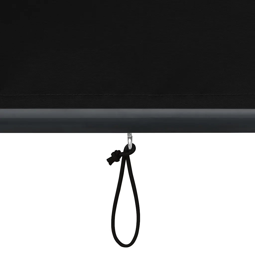 Tenda a rullo | Tenda avvolgibile per Esterni 60x250 cm Antracite