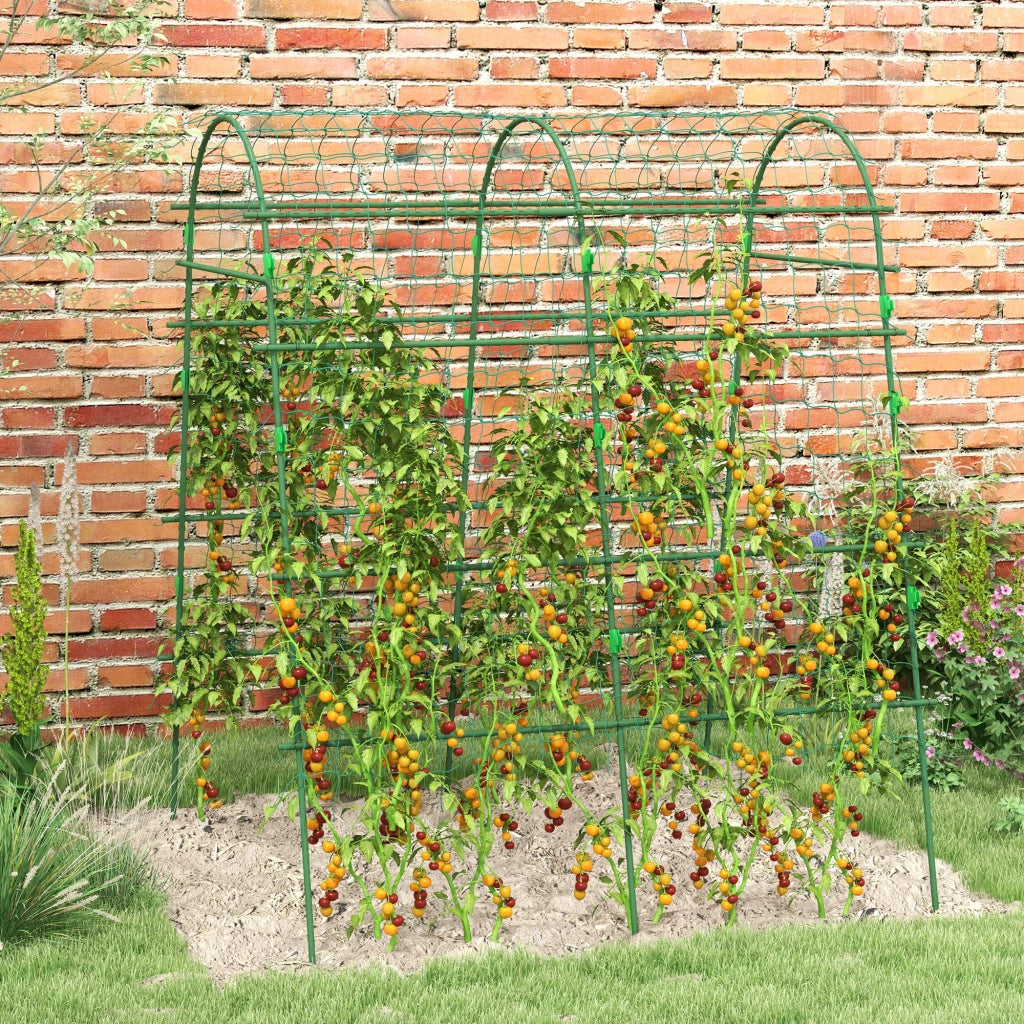 Arco Reticolato per Piante Rampicanti ¨C zephmum ¨C Verde Acciaio 206 cm
