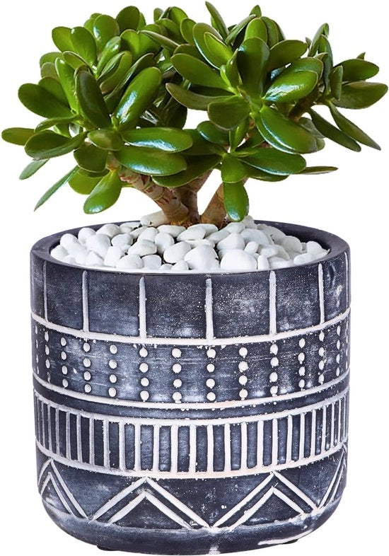 Pentole per piante moderne - 12,5 cm - Per interni - Grigio - Ceramica