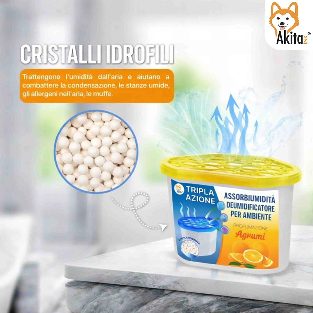 Akitaink Set 6 Assorbiumidita' Deumidificatori Agrumi 500 ml