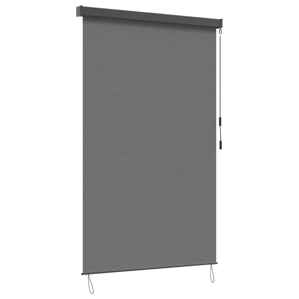 Tenda a rullo Grigio Chiaro 120 x 250 cm Tessuto e Alluminio 42037184
