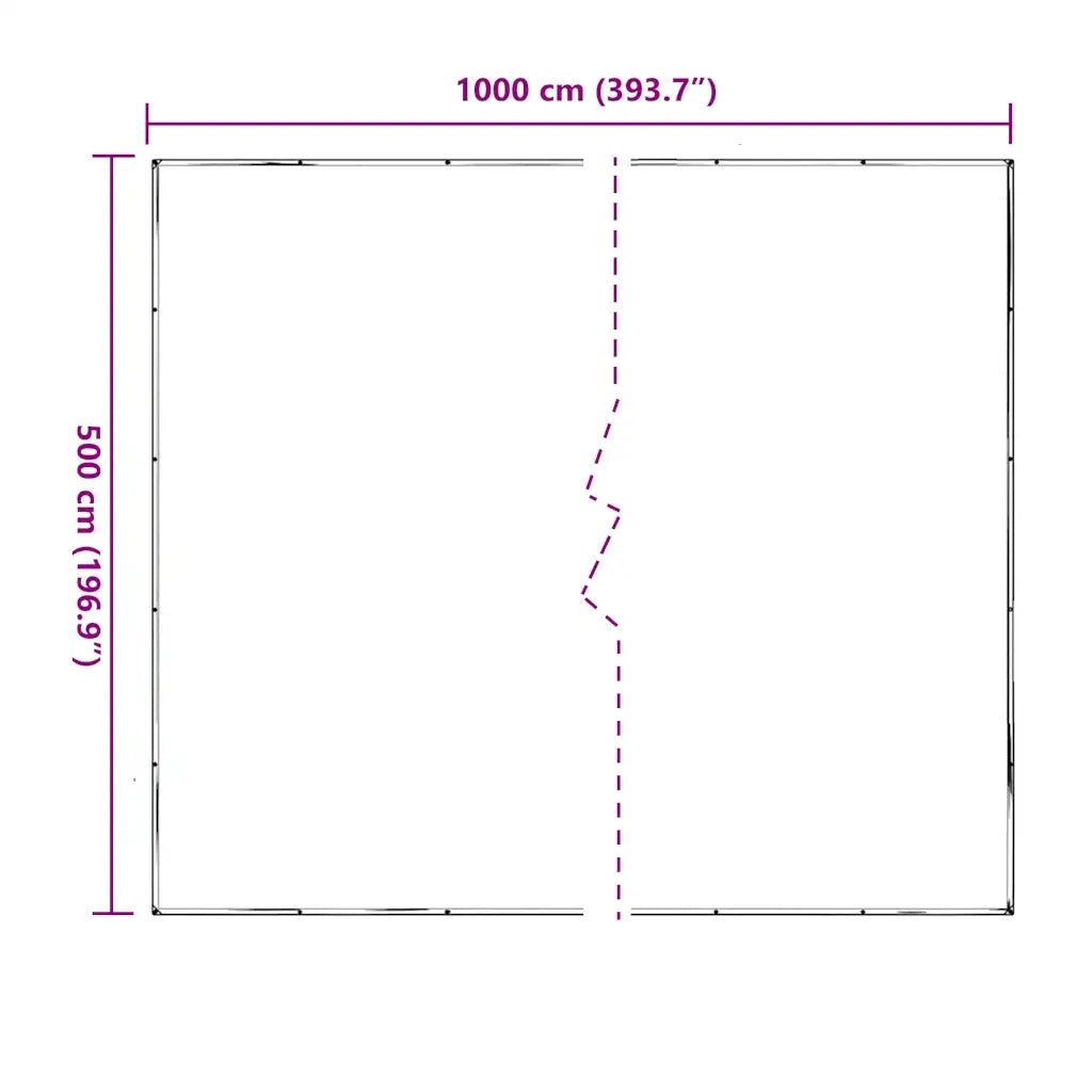 Telone Trasparente con Occhielli 5x10 m in Polietilene 4018527