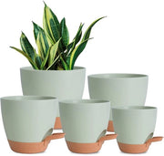 Piantine per interni, 7/6,5/6/5,5/5 pollici, vasi autoirriganti per piante con foro di drenaggio, vasi in plastica per piante grasse, fiore d'Africa (verde)