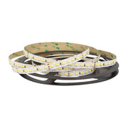 24V Bobina Striscia LED CCT 30W/M Bianco Caldo Neutro Freddo 2700K-6500K 5 Metri IP20 1120 SMD 2835