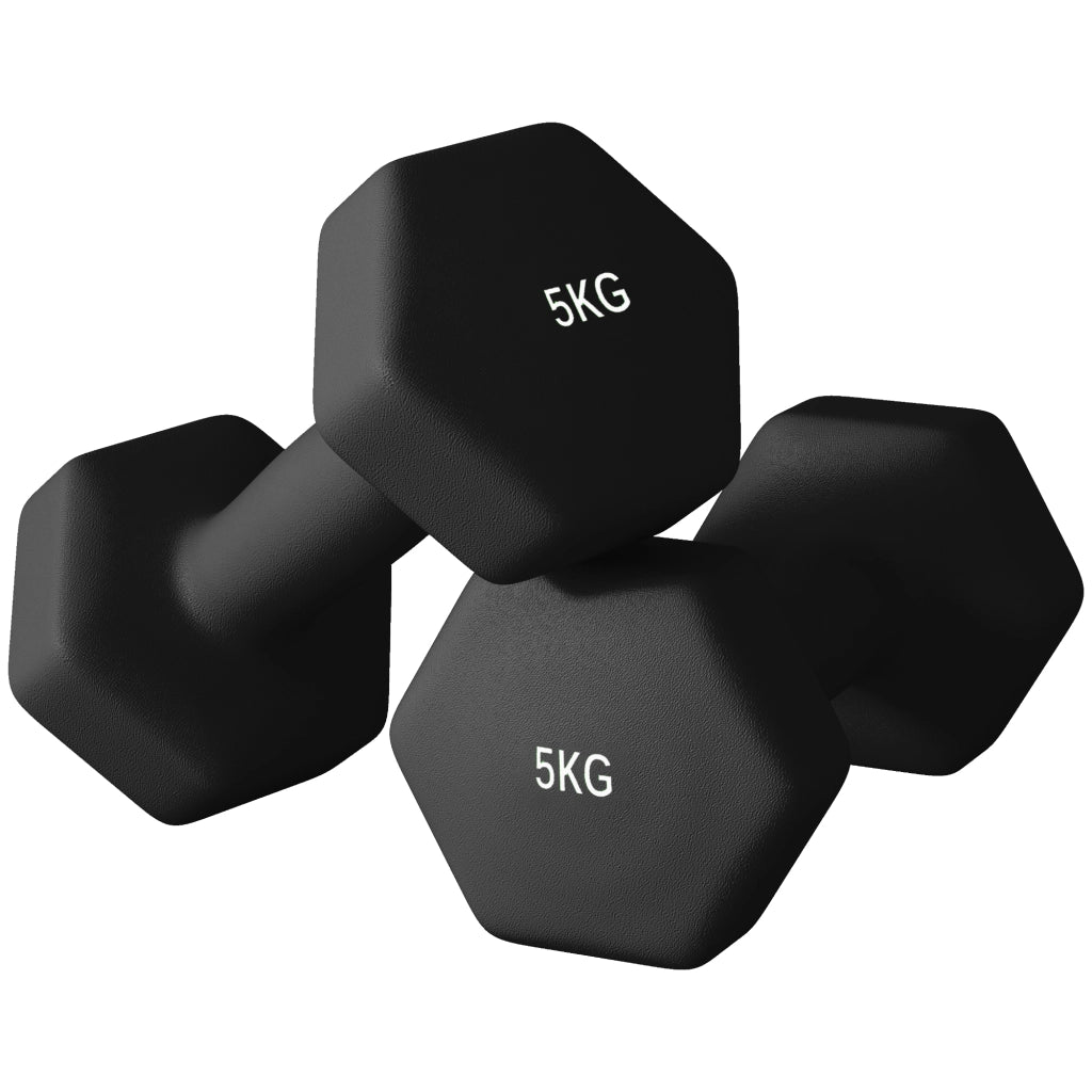 Manubri Esagonali 2x5 kg ¨C zephmum ¨C Nero, Metallo e Plastica, 20x9x9 cm