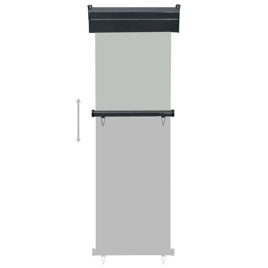 Tenda da sole laterale retrattile/schermo privacy per patio giardino terrazza balcone 60 x 250 cm grigio 02_0007034