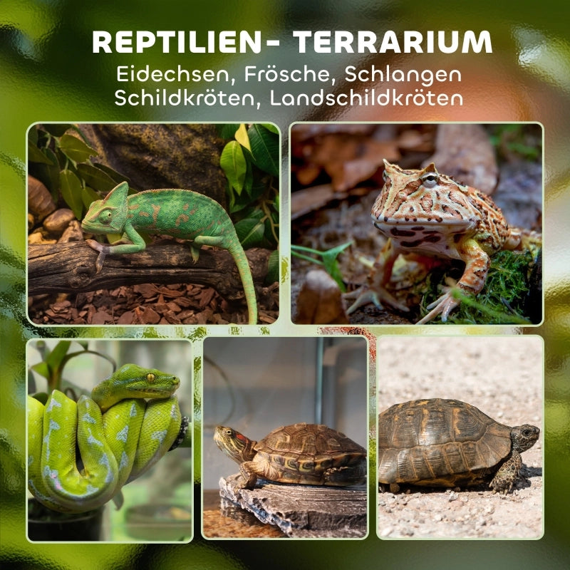 Terrario in vetro per rettili, base rialzata e impermeabile, chiusura a pulsante.