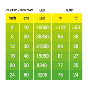 ExoTerra Daylight Basking Spot - lampada al Neodymium ad ampio spettro Wattaggio Riscaldatori e lampade terrario: 75W