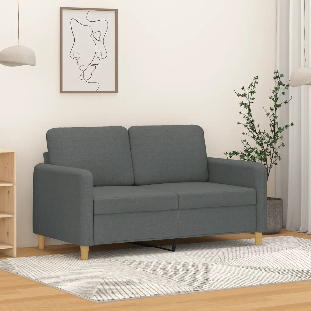 Divano | Divano da soggiorno | Sofa a 2 Posti Grigio Scuro 120 cm in Tessuto