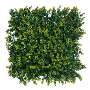 Pannelli Verde Verticale 50×50 cm Ultra-realistici e folti, per interno/esterno SIEPE MEDIA - Eternal Parquet