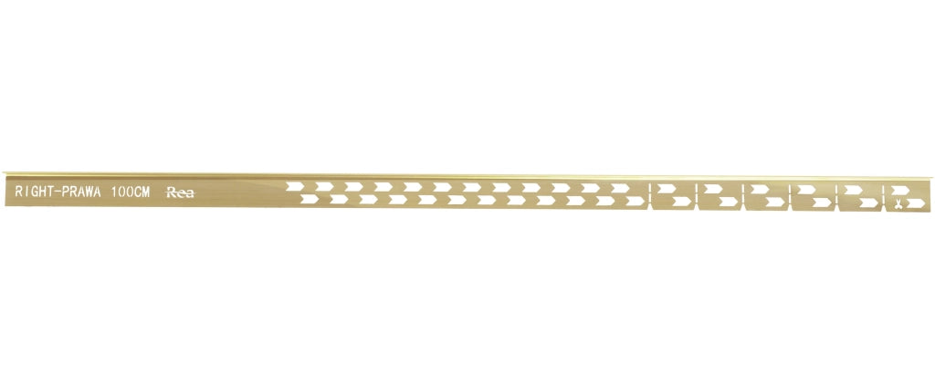 Profilo Doccia Pendenzato 100cm Brush Gold sinistra