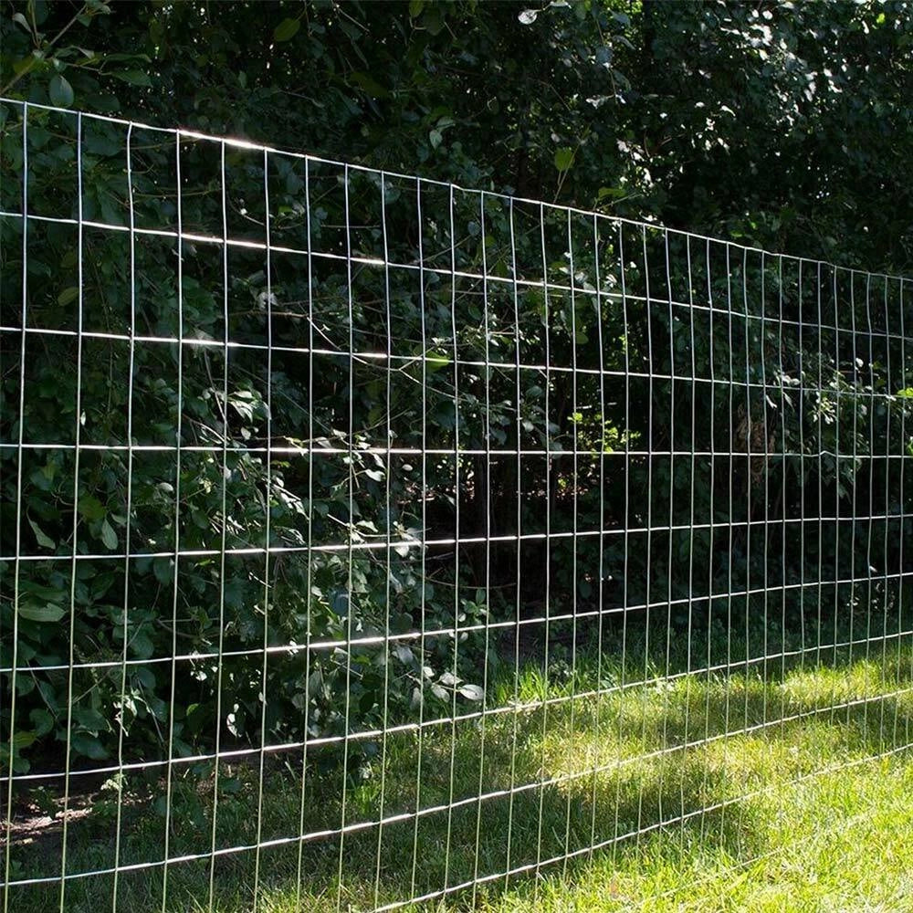 Rete Metallica Elettrosaldata 1 x 25 mt Maglia 50x75mm Zincata per Recinsione