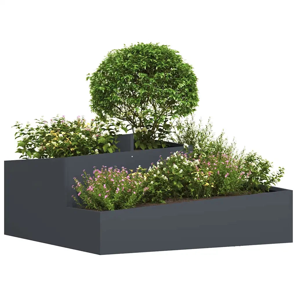 Fioriere | Cassetta per fiori | Vaso da giardino Antracite 100 x 100 x 50 cm