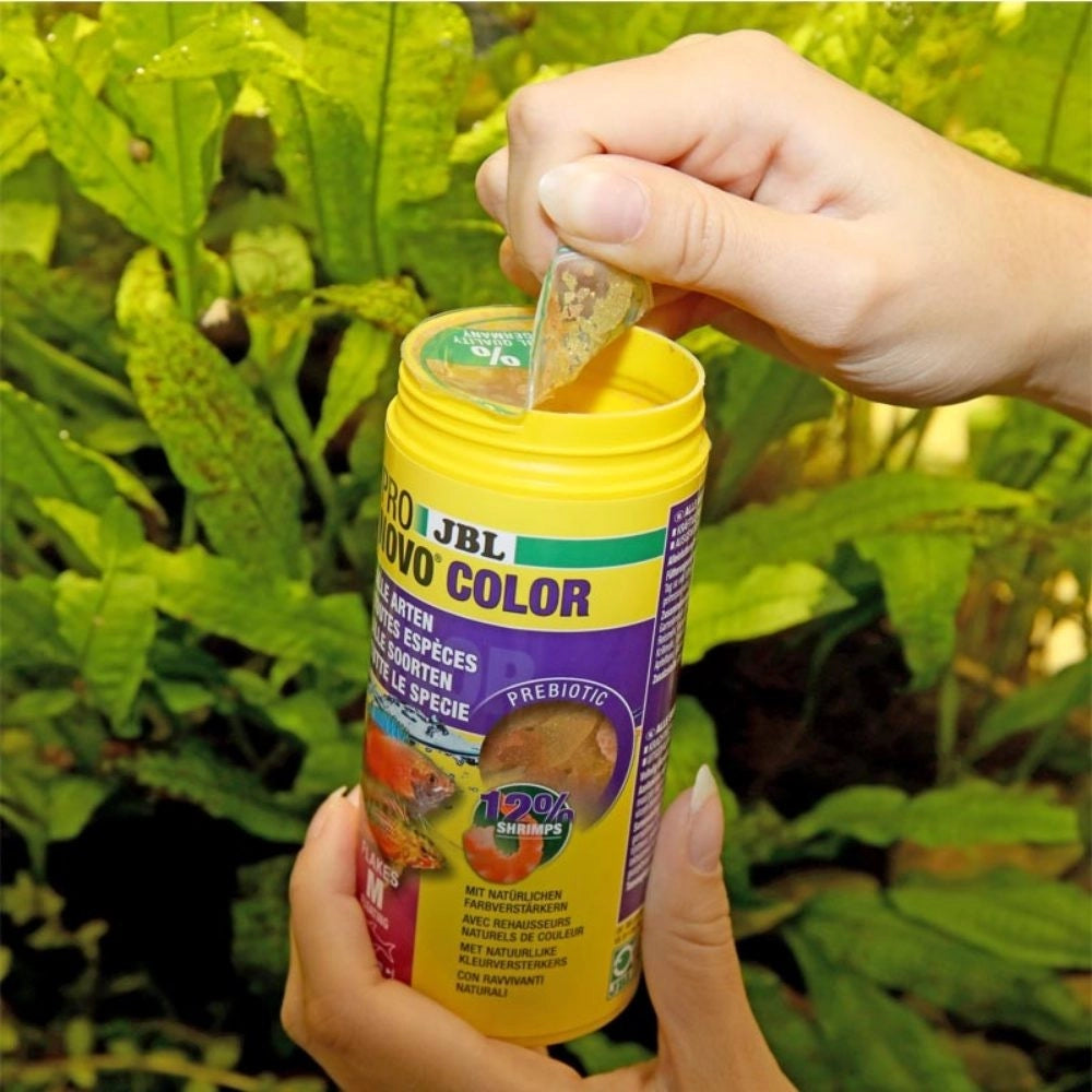 JBL ProNovo Color Flakes M - fioccato per colori brillanti per tutti i pesci tropicali da 8 a 20cm Formato: 250 ml