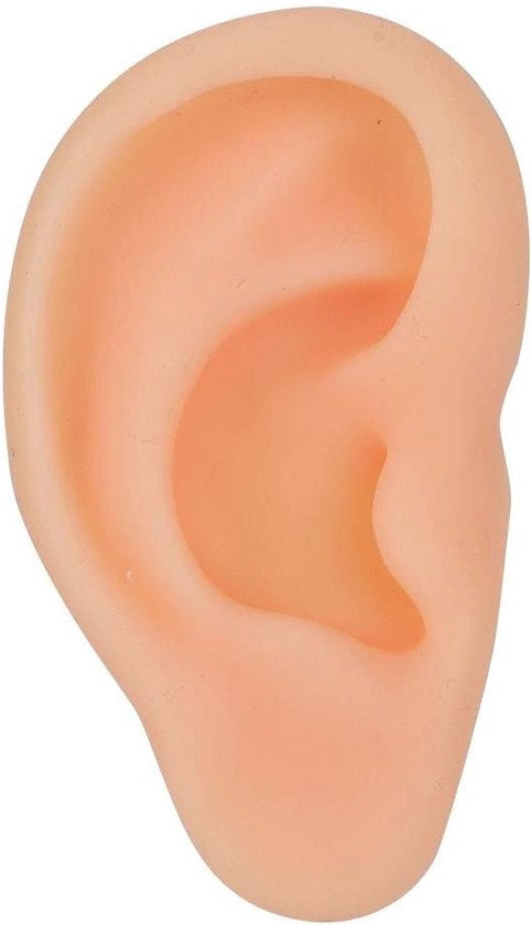 Modello di orecchio in silicone - simulatore professionale di orecchio per acupressione e massaggi - strumento per l'istruzione (sinistro).