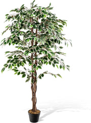 Pianta artificiale 160 cm, pianta artificiale di alta gamma, pianta da appartamento con foglie verdi, vaso riempito di cemento, ficus artificiale con schiuma secca per ufficio, soggiorno