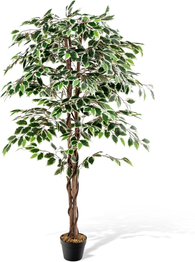 Pianta artificiale 160 cm, pianta artificiale di alta gamma, pianta da appartamento con foglie verdi, vaso riempito di cemento, ficus artificiale con schiuma secca per ufficio, soggiorno