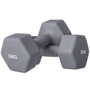 Manubri Esagonali 2x10 kg ¨C Minimal ¨C Grigio Metallo Plastica 26x12x12 cm