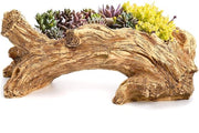 Pianta in Legno di Cocco - Adatto per Esterno/Interno - Fusto di Scarico - Supporta Piante Grasse/Alberi da Seme - Resistente alle Intemperie - Vaso per Piante