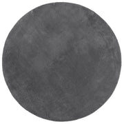 Tappeto del soggiorno | Tappeto a Pelo Corto HUARTE Morbido e Lavabile Antracite ?200cm