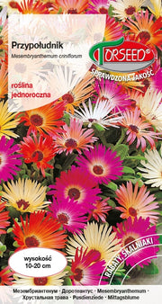 Pomerania - Miscela di Mesembryanthemum criniflorum 1g