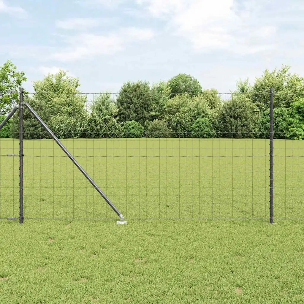 Recinzione con Posto Grigio 1 x 10 m Acciaio